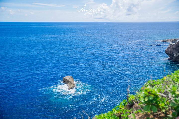 救援小巨鳄